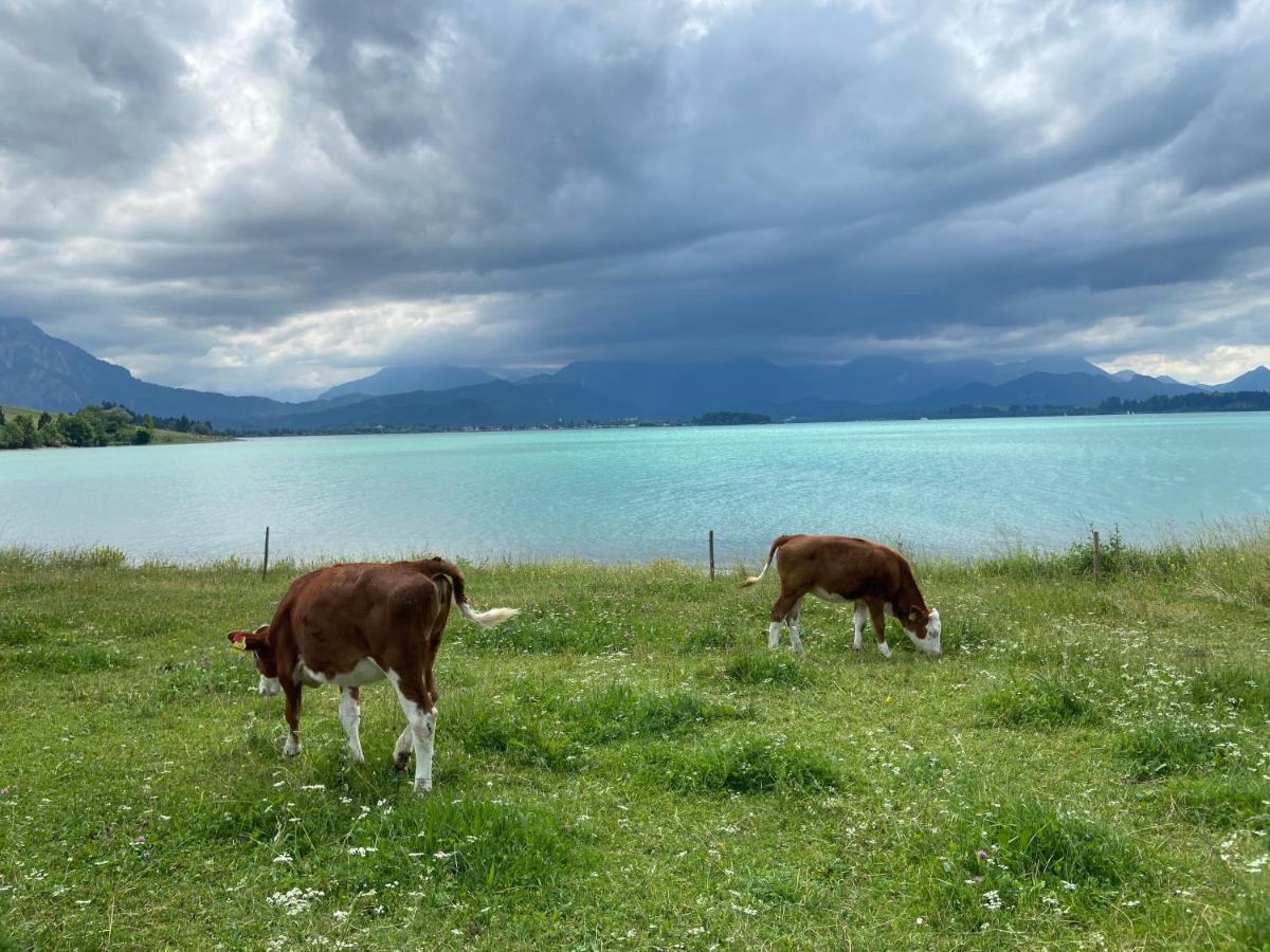 Allgaeu-Moni Trauchgau Halblech Buitenkant foto